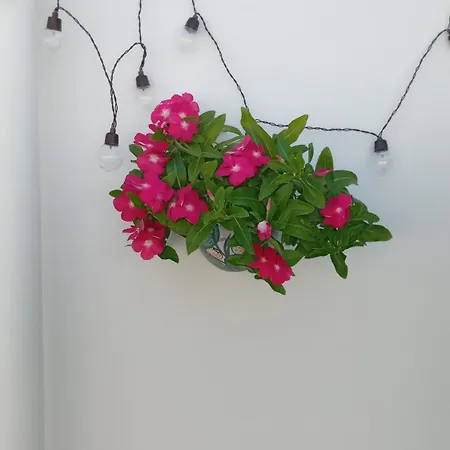 Capri House Apartament Fasano